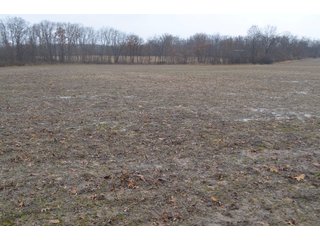 Property photo 19 - FARM AUCTION - 60.5+/- ACRES IN 5 TRACTS IN ALLEN COUNTY, INDIANA